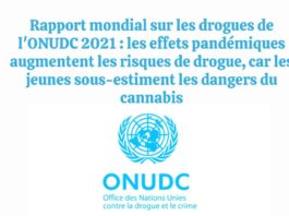 ONUDC RAPPORT 2021