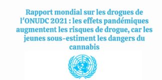 ONUDC RAPPORT 2021