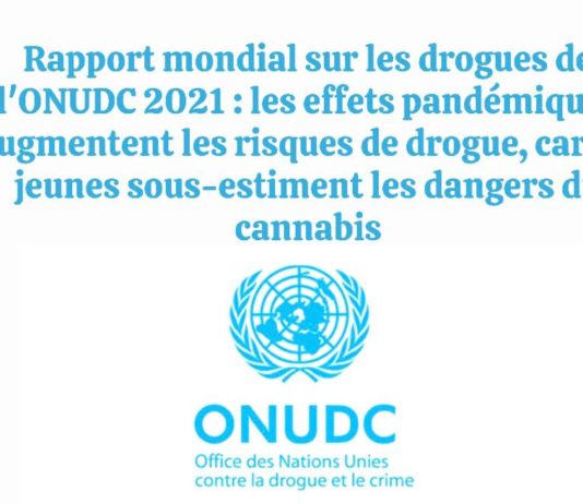 ONUDC RAPPORT 2021