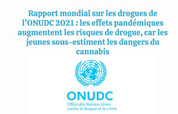 onudc ONUDC RAPPORT 2021