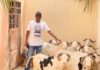 Tabaski 2021 à Fann -Point E-Amitié : Bouna Kanté surprend des notables avec des moutons