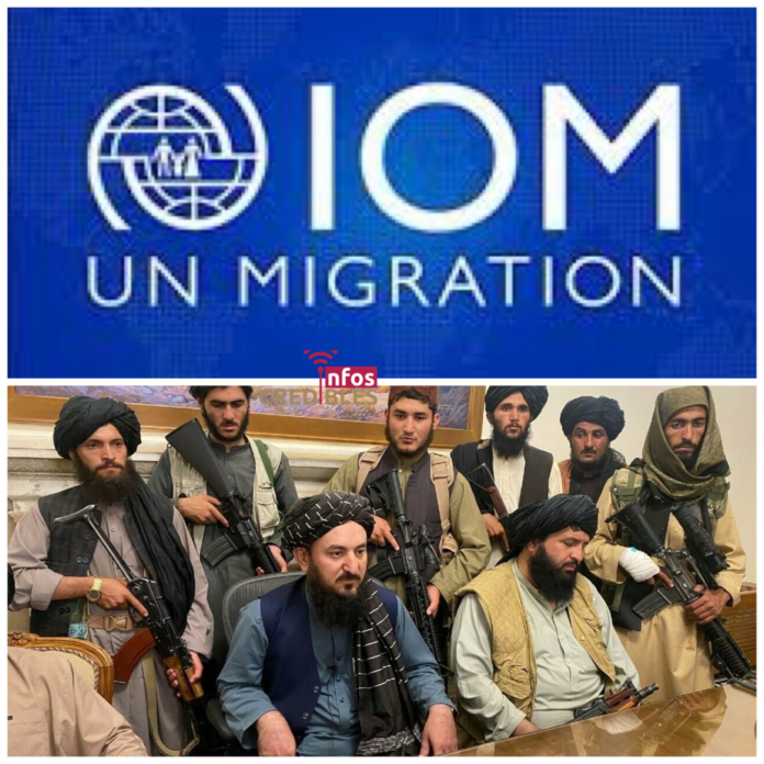 6D703F05-E7A7-4081-9BB7-F4F946472C29