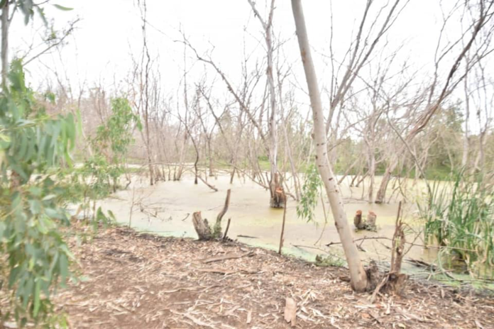 850A7C4B-42CD-4740-B703-4AD0390C6F2C