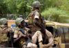 Mali : « une douzaine de terroristes » tués, dont un Franco-Tunisien.