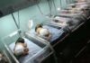18 bébés sont morts calcinés entre 2021 et 2022