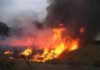Podor : trois morts dans un feu de brousse à Doumnga-Lao