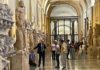 Vatican: un touriste a détruit deux bustes de 2000 ans au musée Chiaramonti hier midi