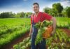 Agriculture -France: Coup de frein au recrutement de nouveaux agriculteurs bio