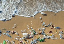 Pollution Écosystème: La plus importante porcherie bretonne condamnée pour