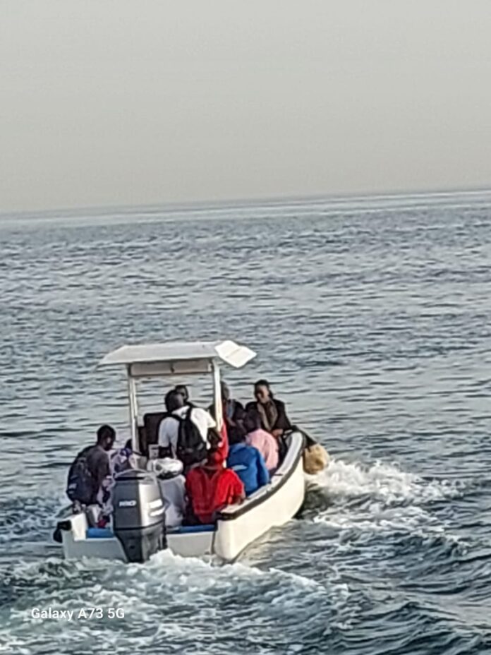 33546d5f-7f3c-4d85-8f63-dd1a028b9720