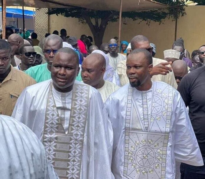 4248c20e-a997-4061-8393-96741c33339c