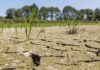 L’Afrique innove : un nouveau mécanisme pour financer l’adaptation climatique!