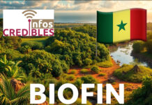 Le Sénégal s’engage avec BIOFIN : repenser le financement de la biodiversité!