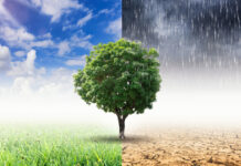 Climat : un rapport dénonce plus de 2 300 nouveaux projets d’énergies fossiles depuis 2021