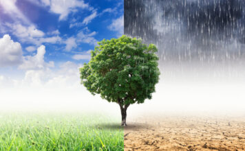 Climat : un rapport dénonce plus de 2 300 nouveaux projets d’énergies fossiles depuis 2021