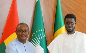 Crise en Guinée-Bissau : le Sénégal au cœur des efforts diplomatiques de la CEDEAO