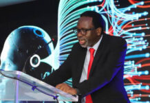 Afrique du Sud – télécoms : Vodacom renforce sa position dans le haut-débit en acquérant une part dans le principal réseau fibre du pays