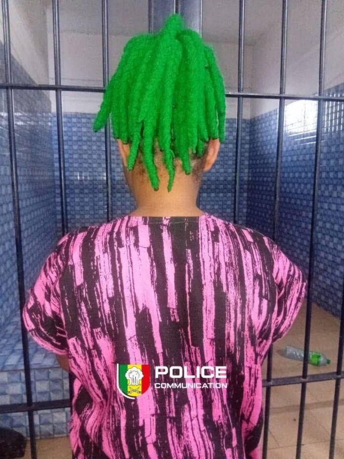 FB_IMG_1771339536987